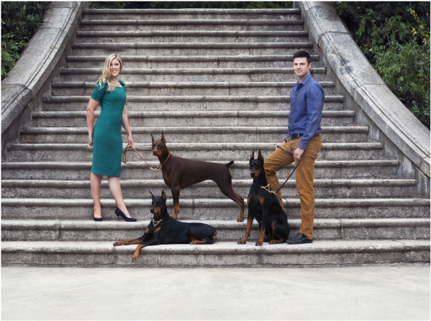 Every Doberman Puppy For Sale At Bello Warlock Dobermanns - Rottweiler (1024x683), Png Download