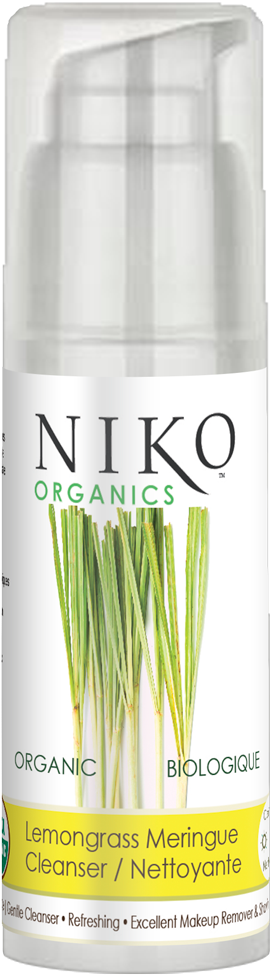 Makeup Brushes (1000x1000), Png Download