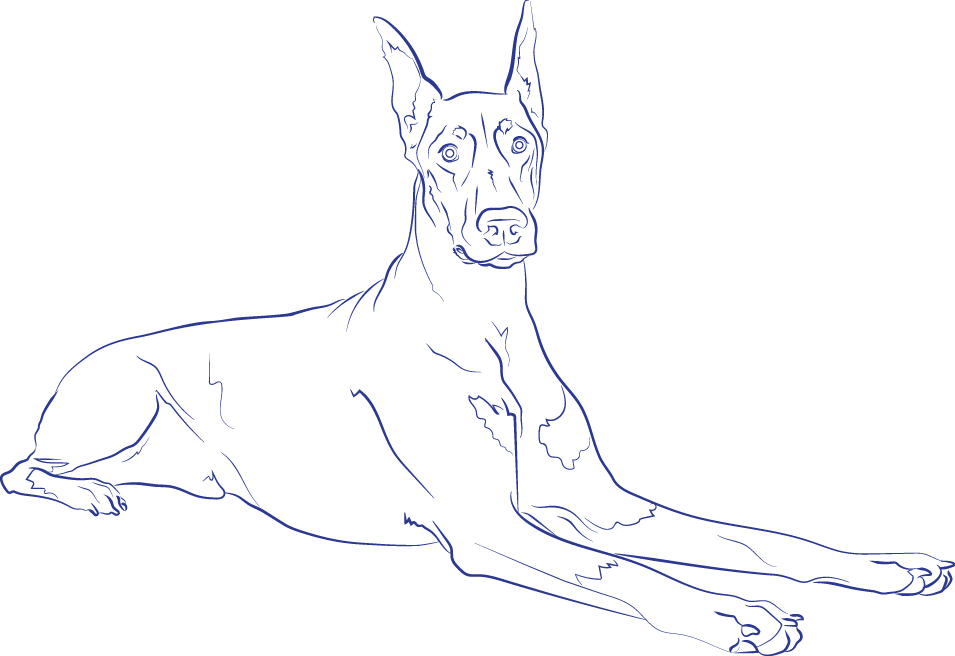 Great Dane (955x656), Png Download