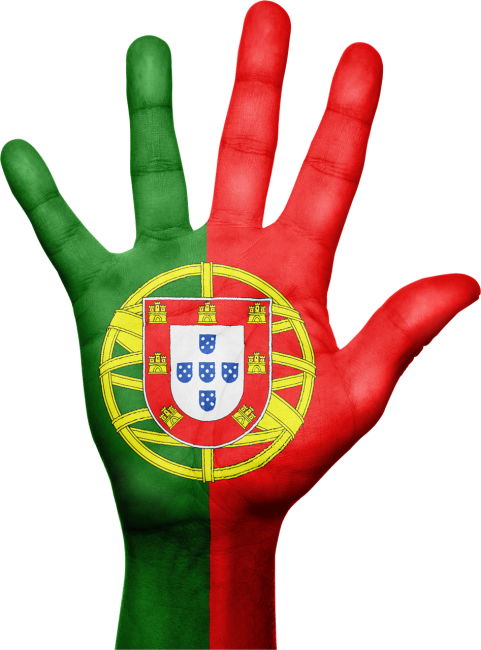 Most People Know Portugal Is A Fantastic Travel Destination, - Portugal Flag (481x650), Png Download