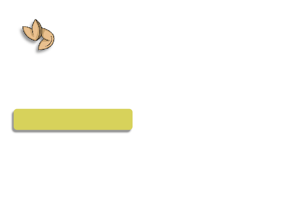 Fortune Cookie - Cookie Templates - Moth (999x725), Png Download