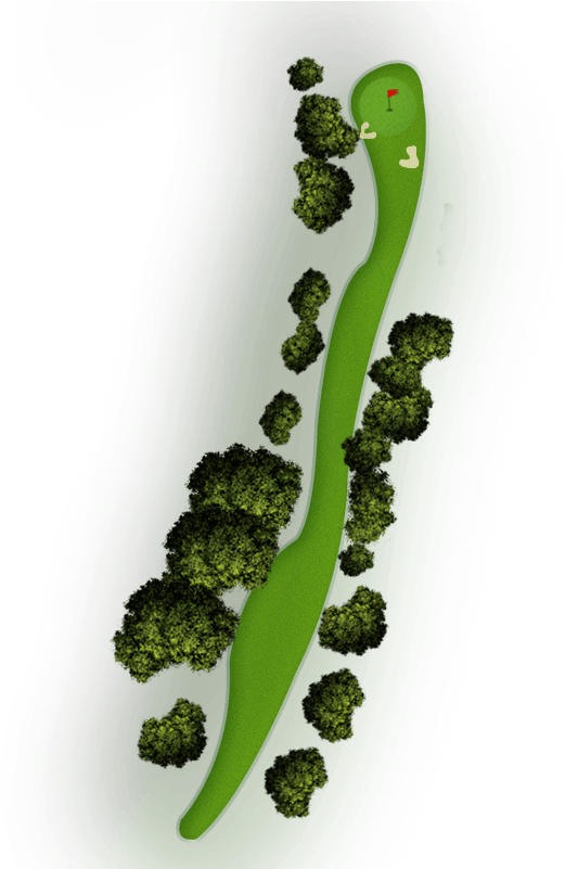 Map-15 - Moss (600x800), Png Download