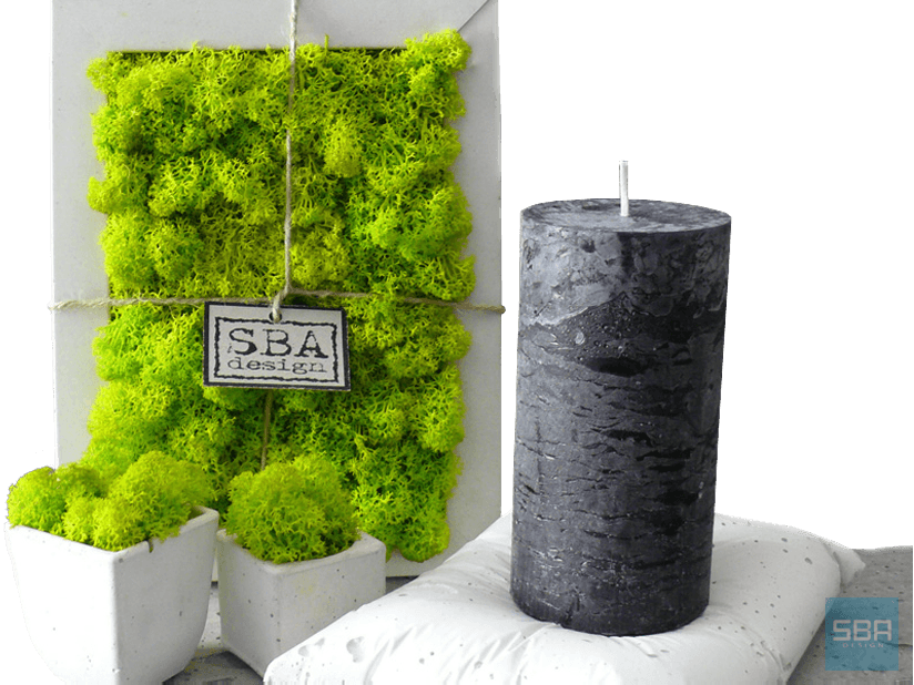 Beton Dekoruje Nasze Wnętrza - Chrobotek Reniferowy Panel (824x618), Png Download