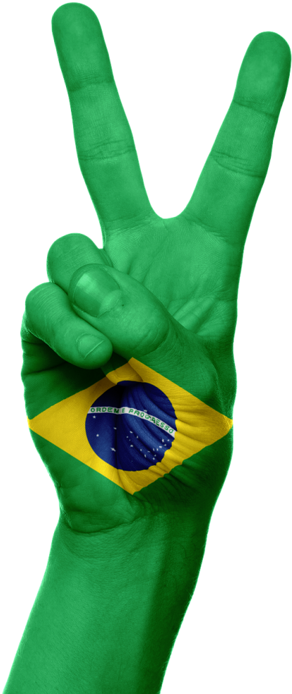 Brazil Flag Hand Png (500x990), Png Download