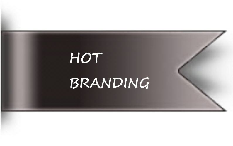 We Want This Product To Be Completely Unique To You - Maan Singh Khurana In Geet (794x559), Png Download