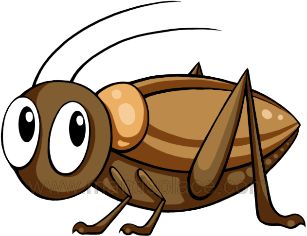 Mantis Clipart Cricket Insect - Cute Cricket Insect Cartoon Brown (738x581), Png Download