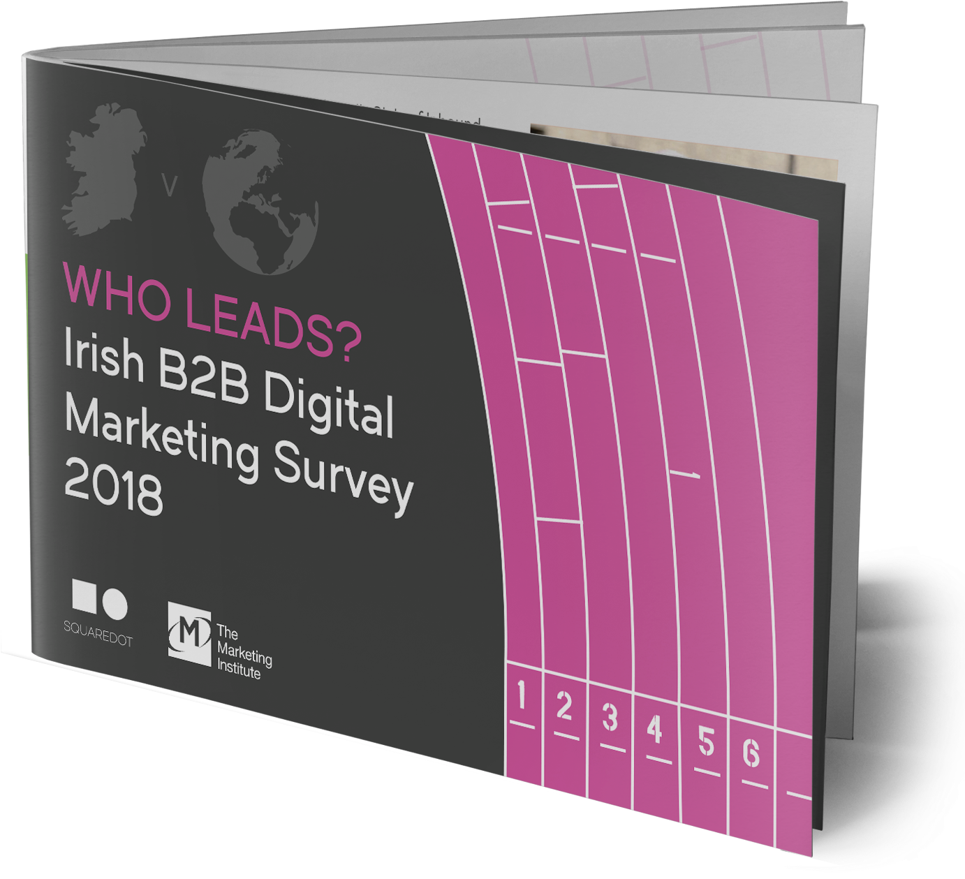 Irish Digital Marketing Survey - Graphic Design (1423x1312), Png Download