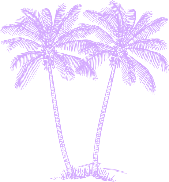 Attalea Speciosa (552x596), Png Download