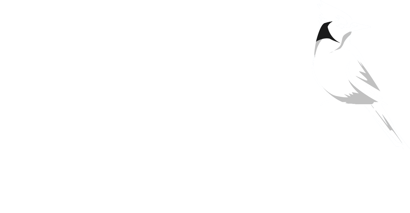 Blue Jay Financial Group - Gull (1458x792), Png Download