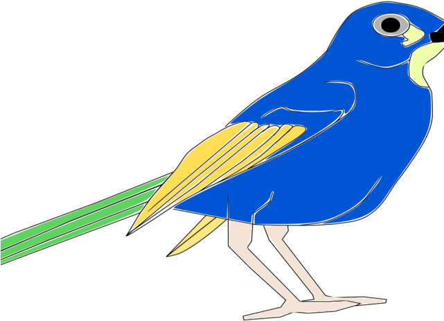 Blue Jay Clipart Drawn - Clip Art (640x480), Png Download