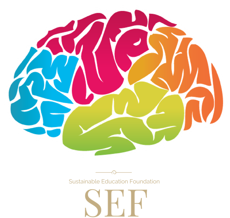 Brain Vector Png - Brain Mental Health Logo (800x800), Png Download