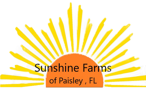Rising Sun Logo Png (620x622), Png Download