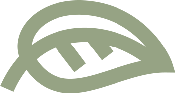 Leaf Logo Mark - Simple Leaf Logo (800x800), Png Download