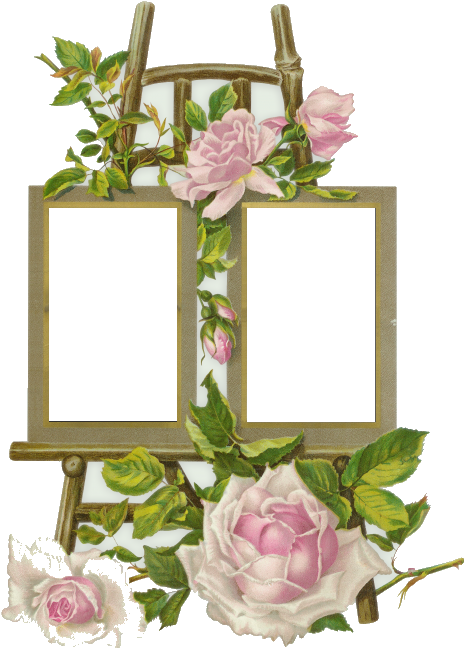 Tube Cadre Png - Deux Cadre Fleur Png (500x707), Png Download