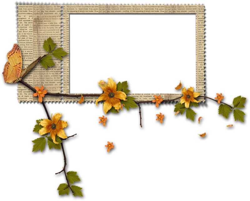 Tubes Png Cadres Fleurs - Poezii De Primavara Grupa Mica (800x642), Png Download