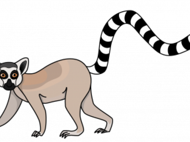 Lemur Clipart Transparent - Lemur Cartoon Transparent Background (640x480), Png Download