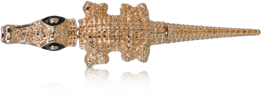 Aligator - American Alligator (520x760), Png Download