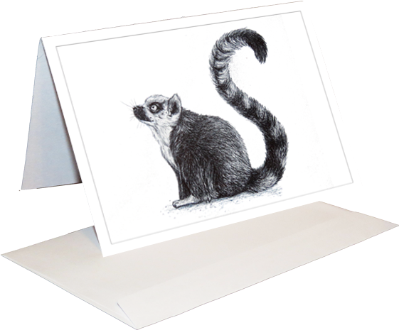 Lemur Inkling Greeting Card - Ground Squirrels (591x591), Png Download