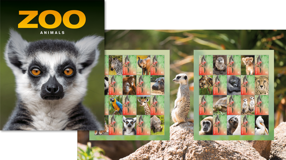 Shop - Meerkat (970x545), Png Download