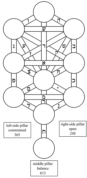 The Complete Set Of 22 Elementary Particles - Tree Of Life (903x747), Png Download