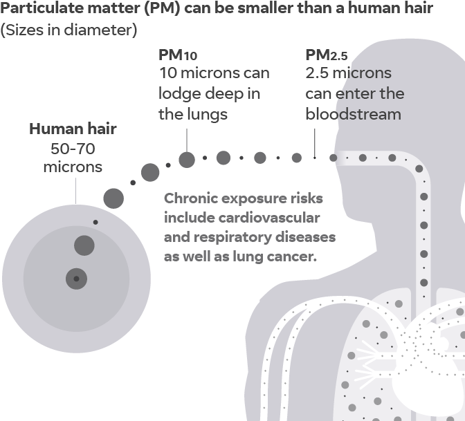 Tiny Particles Pose Big Health Risks - Diagram (700x644), Png Download