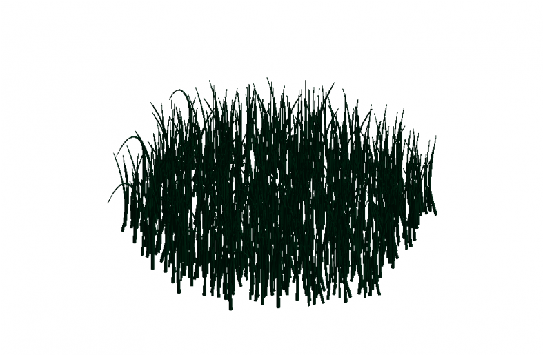 Grass (786x1000), Png Download
