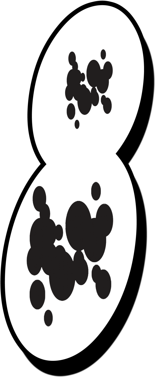 Y Aquí El Abecedario - Ben Ten (1236x1600), Png Download
