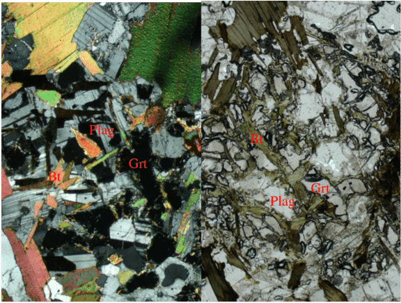 Coronal Texture Of Garnet With Smaller - Tree (850x441), Png Download