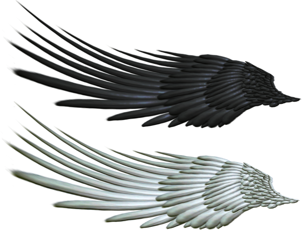 Download Amazing High-quality Latest Png Images Transparent - Angel Wings On Horse (1024x817), Png Download