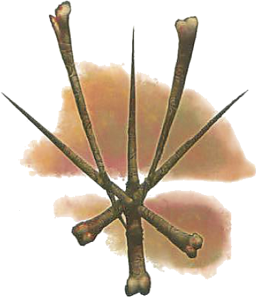 Dark - Six - - - The - Devourer - 01 - Dark Six Eberron (379x436), Png Download