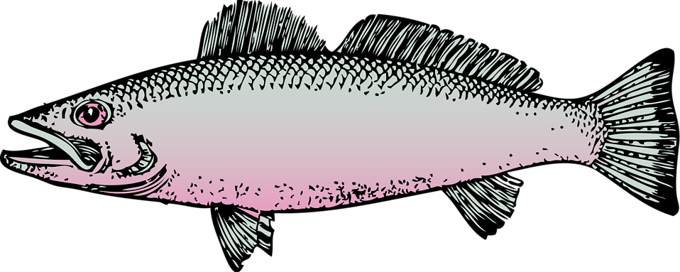 Fish Clipart Clear Background - Fish Clipart Transparent Background (958x383), Png Download