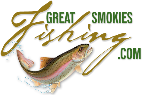 Guide To Bass, Trout, Fly - Brown Trout (500x319), Png Download