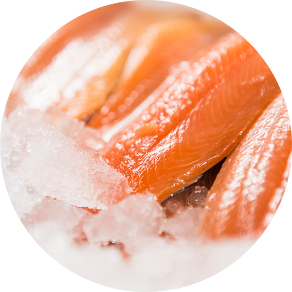 Fresh Trout Circle - Trafalgar Fisheries (600x600), Png Download