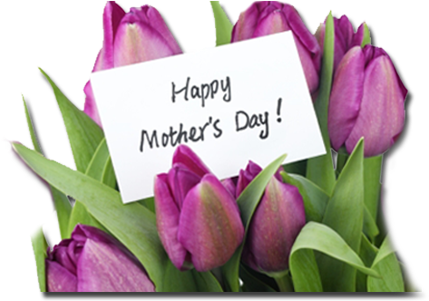Mother's Day Is May 13th - Happy Mother's Day Flowers (900x400), Png Download