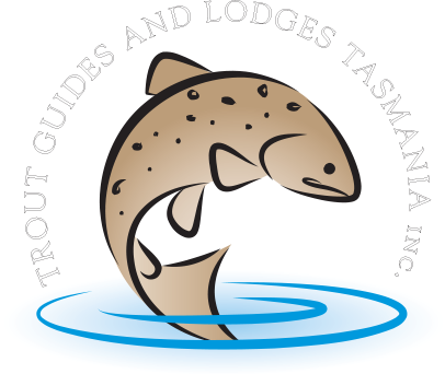 Trout Guides And Lodges Tasmania - Trout (406x342), Png Download