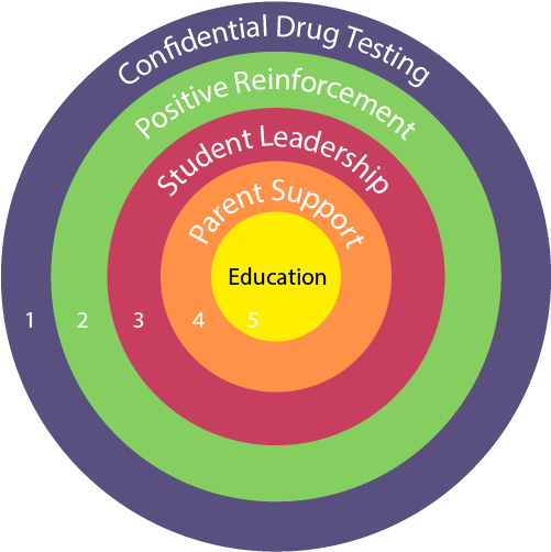 Circle (500x542), Png Download