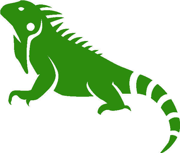 Iguana Bonaire Art - Iguana Art (700x596), Png Download