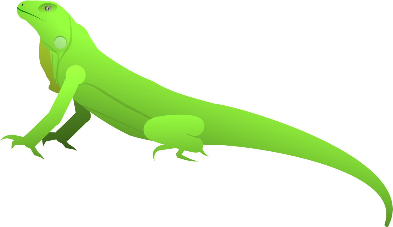 Iguana - Carolina Anole (1920x1080), Png Download