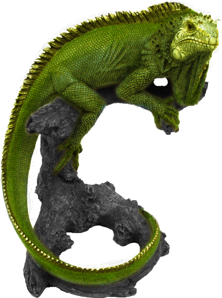 Imagenes De Iguanas Png (445x597), Png Download