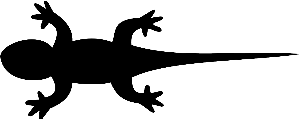 Iguana Clipart Newt - Silhouette Lizard (1280x640), Png Download