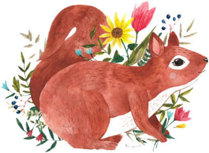 Squirrel (588x480), Png Download