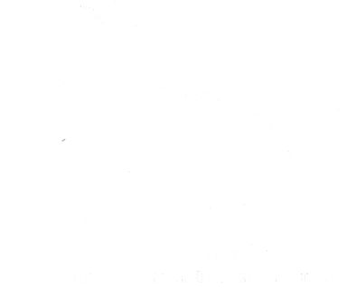 Iguana New York - New York City (500x340), Png Download