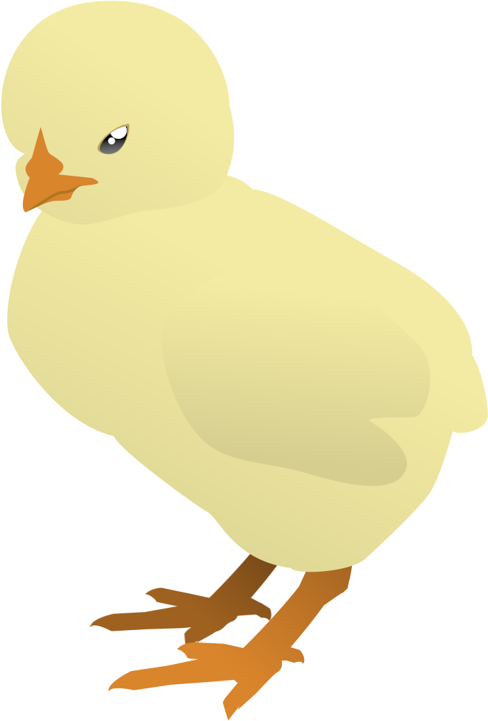 I Have Made This Baby Chicken, Trying A New Thing Using - Duck (1920x1080), Png Download