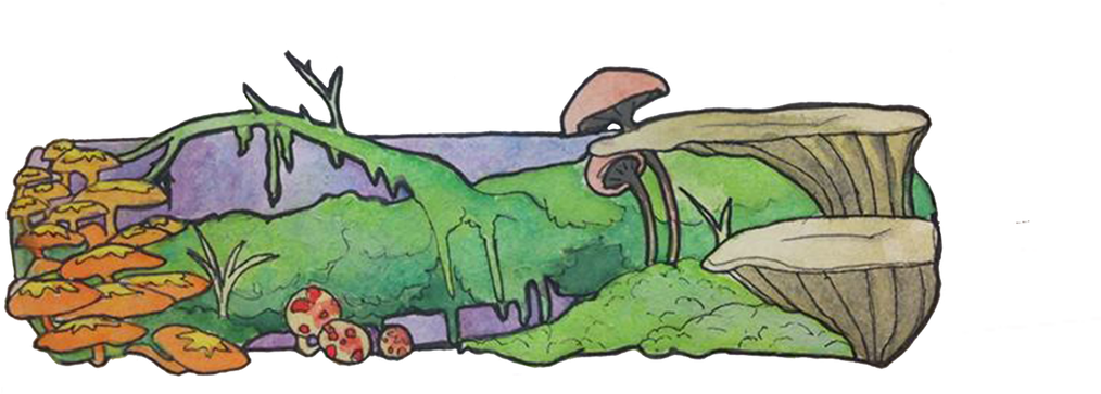 Portfolio - Cartoon (1100x641), Png Download