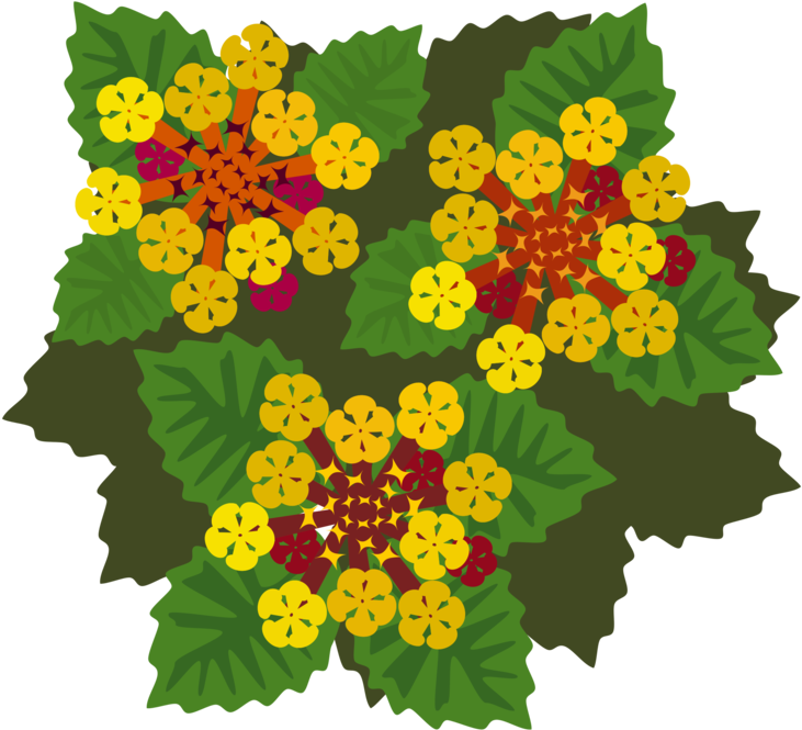West Indian Lantana Flowering Plant Plants Petal - Lantana Flower Illustration (750x750), Png Download