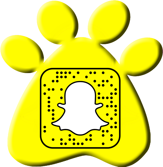 Snapchat Makeup Tutorial Accounts (729x732), Png Download