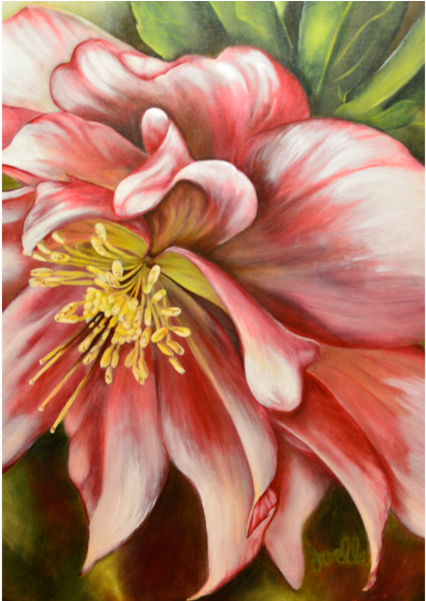 Sold - Lily (600x600), Png Download