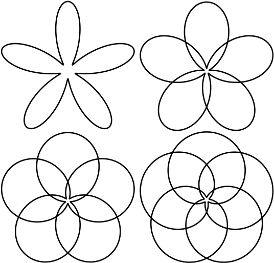 Black Flower Png - Coloring Book (555x524), Png Download