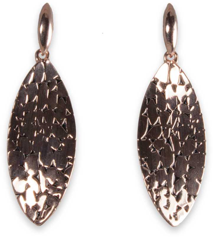 Earrings (1024x1024), Png Download