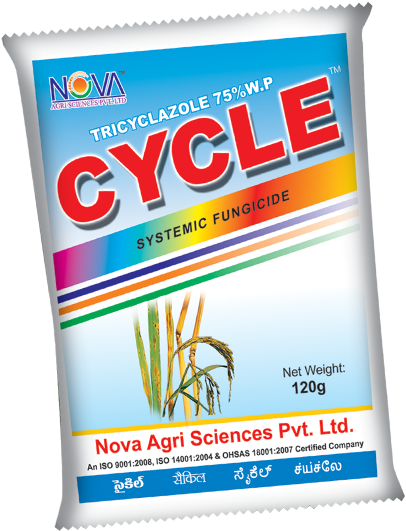 03 Aug 2018 - Graphic Design (800x600), Png Download